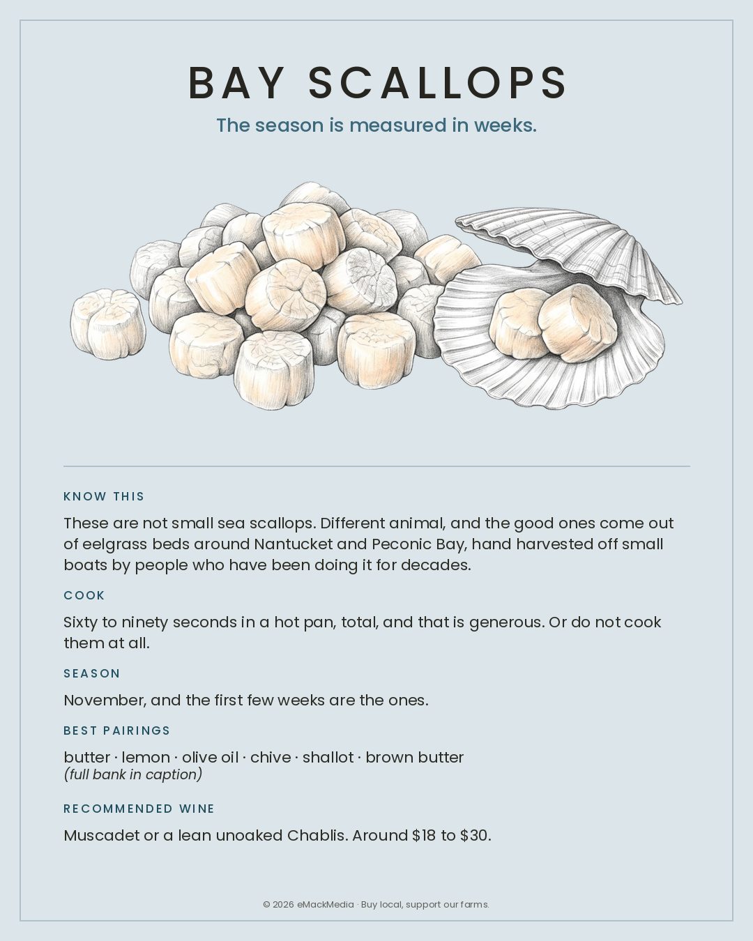 MackFoodie Bay Scallops card