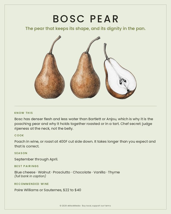 Bosc Pear card