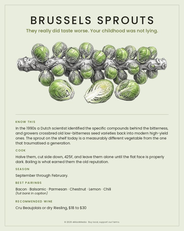 Brussels Sprouts card