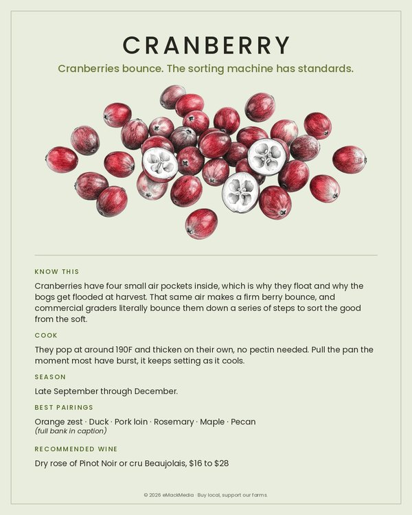 Cranberry card