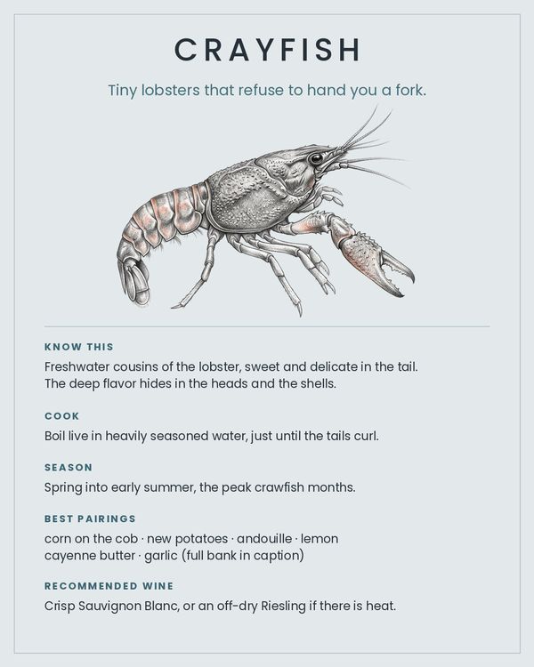 Crayfish card