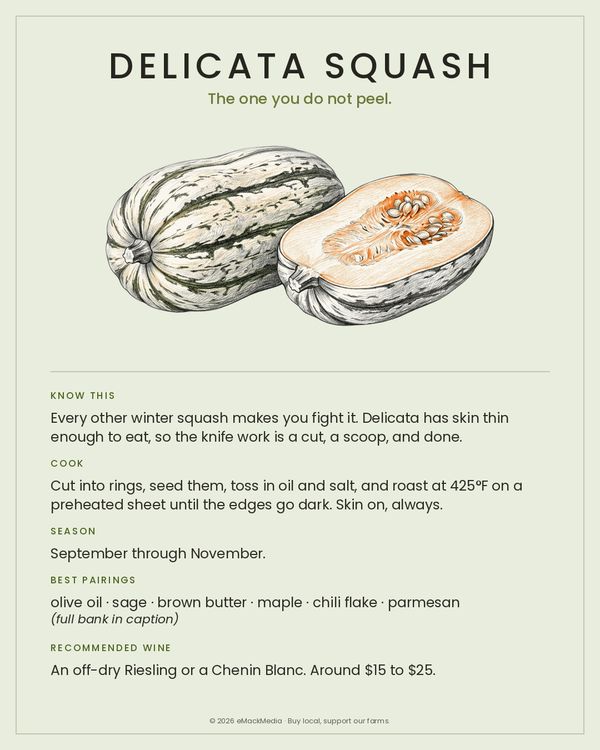 Delicata Squash card