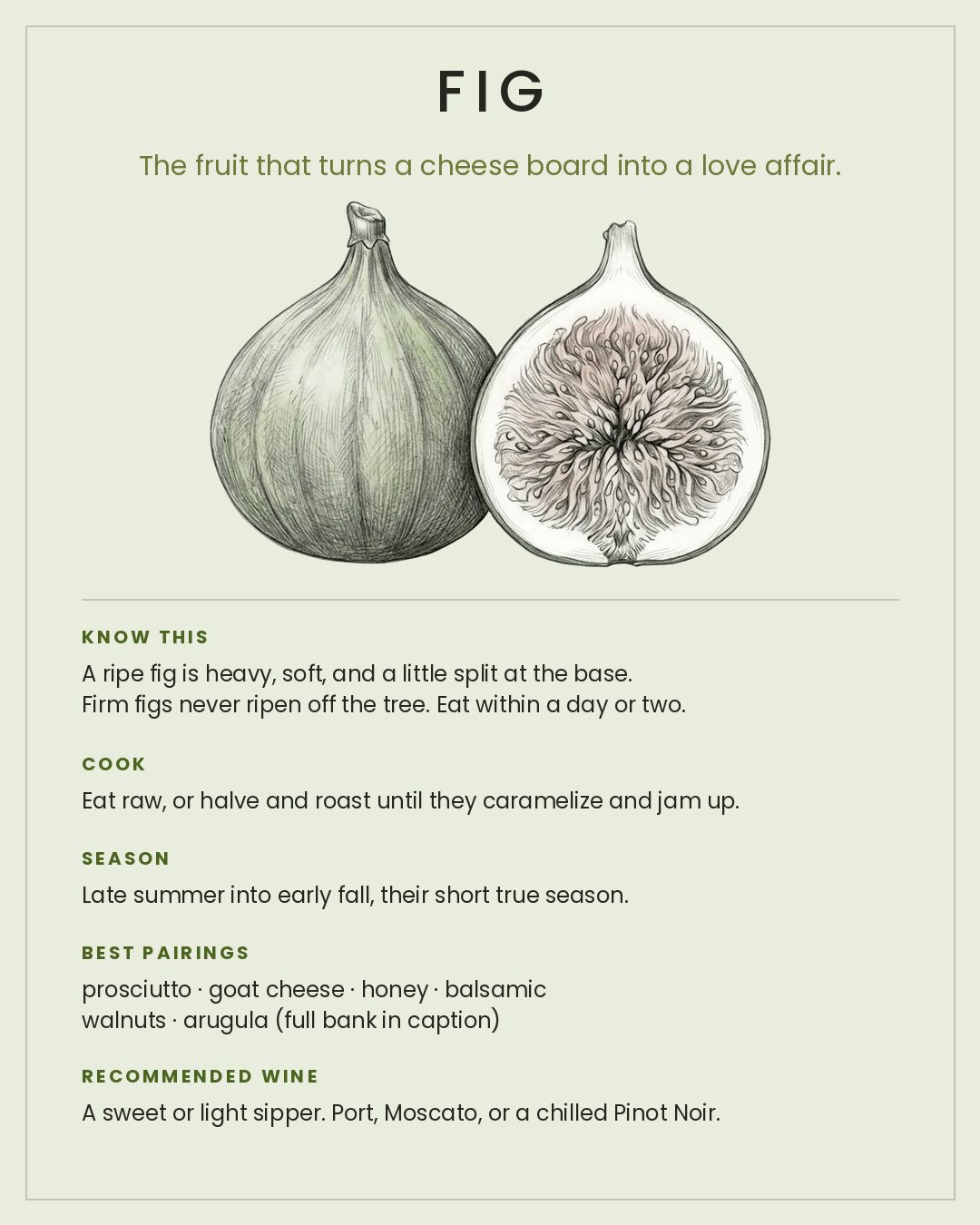 MackFoodie Fig card