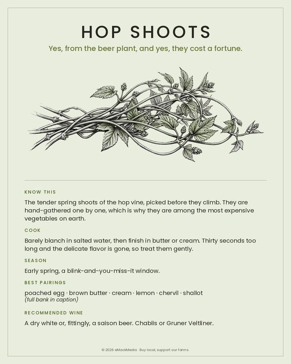 Hop Shoots card