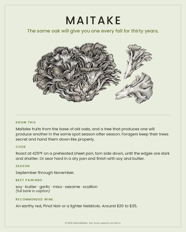 Maitake card
