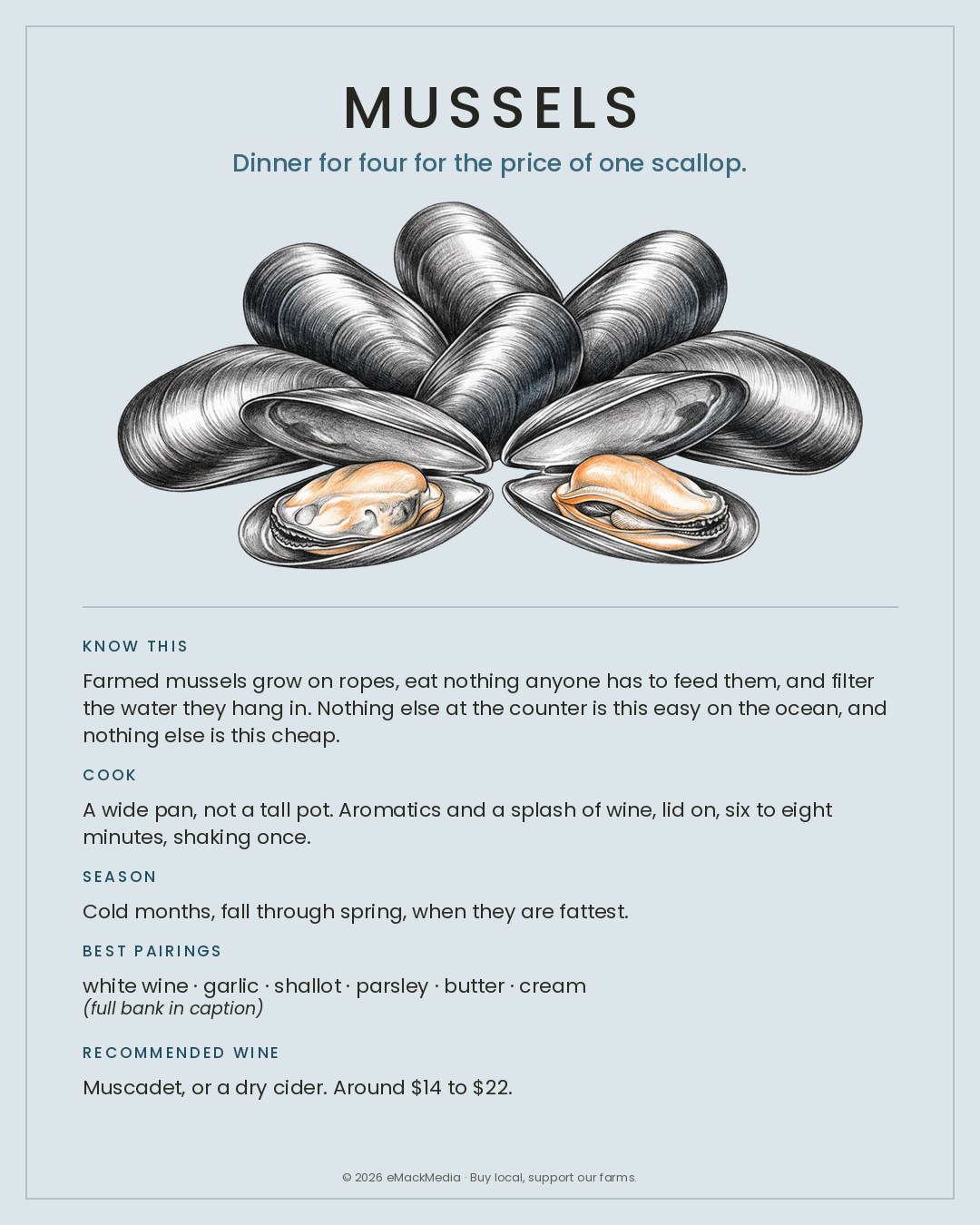 MackFoodie Mussels card