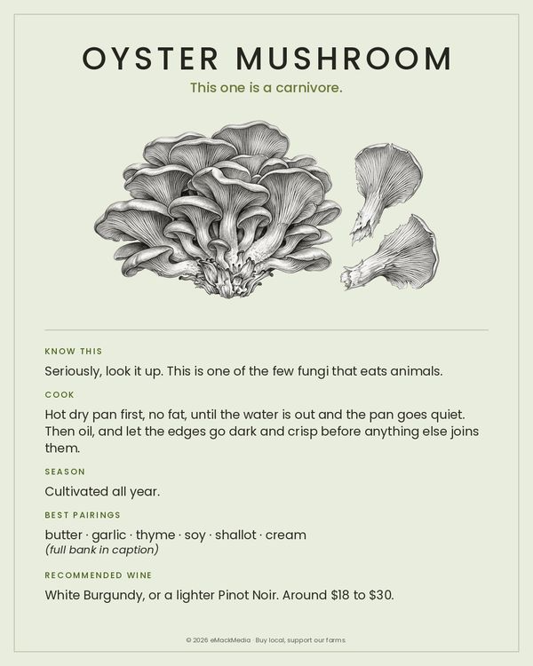 Oyster Mushroom card