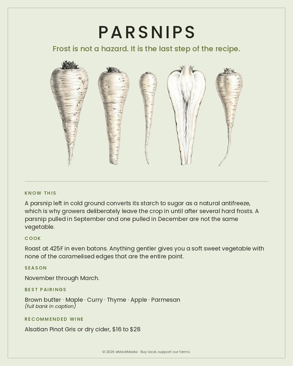 Parsnips card