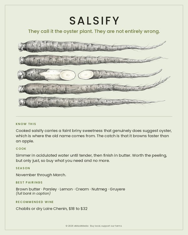 Salsify card