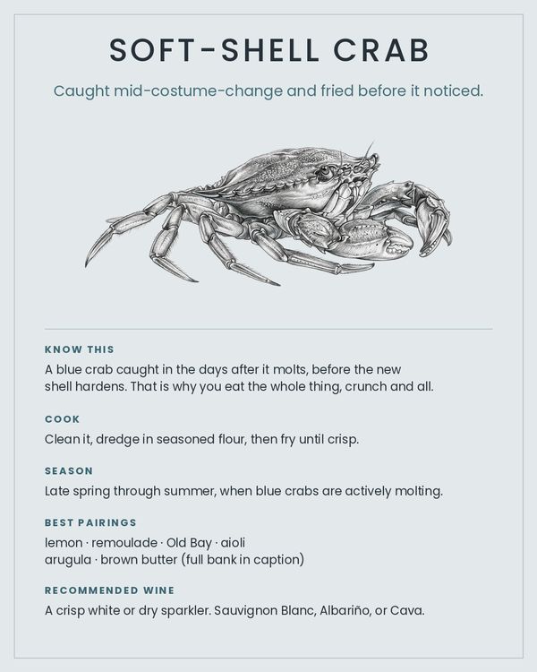Soft-Shell Crab card